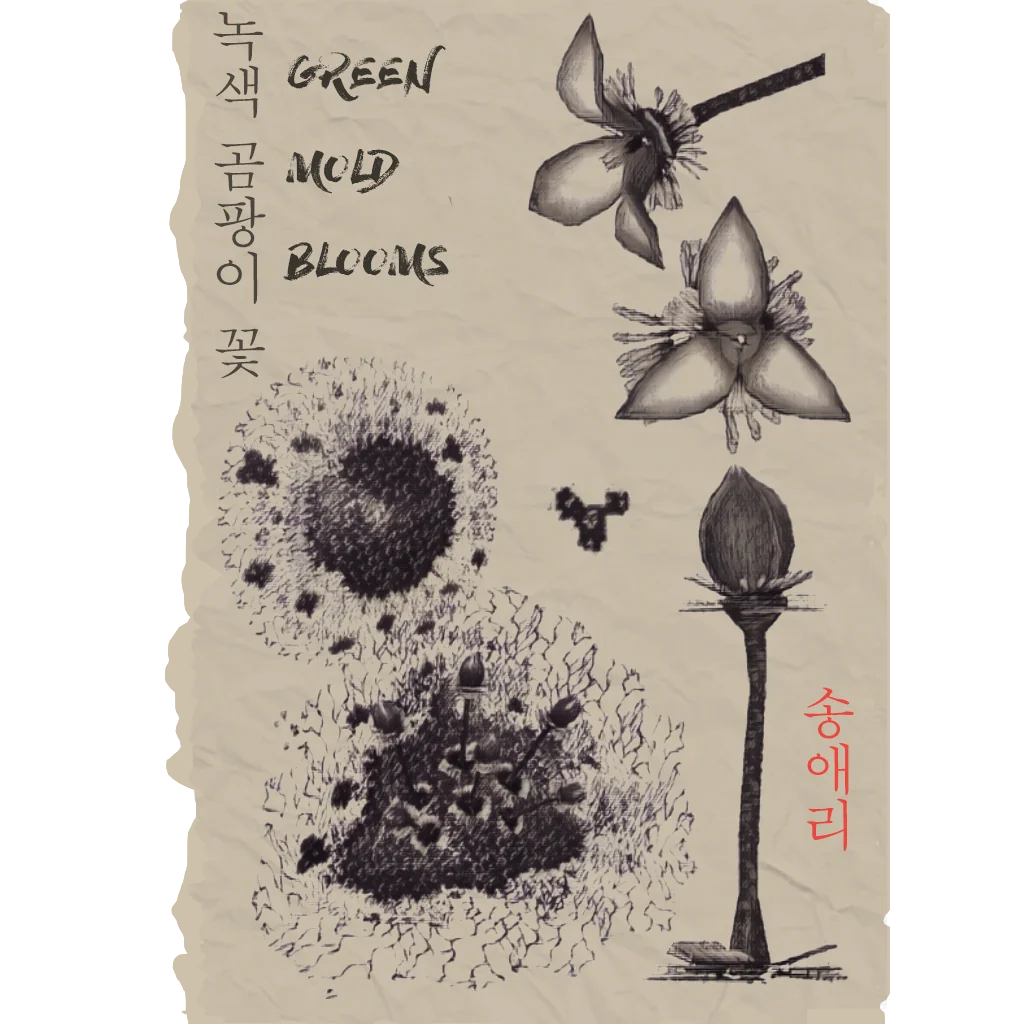 Green Mold Blooms sketch by Ae-ri Song