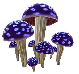 Backshroom