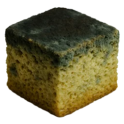 Mold Cake
